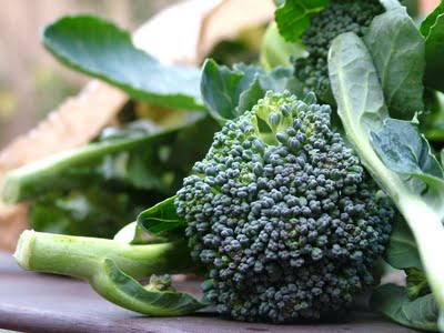 broccoli siciliani
