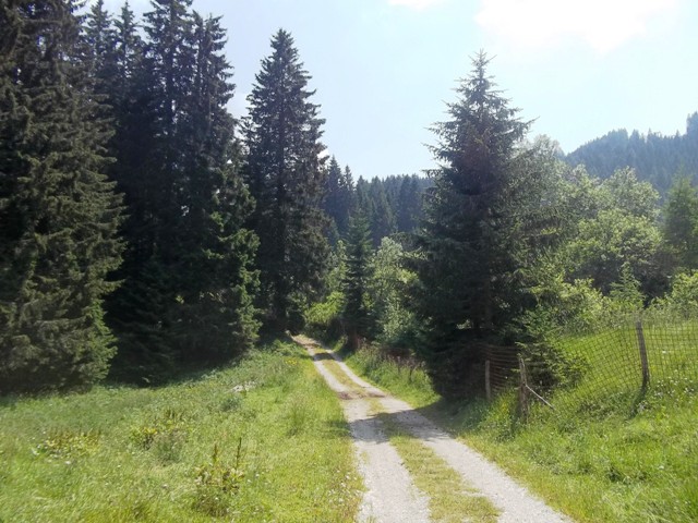 sentiero2