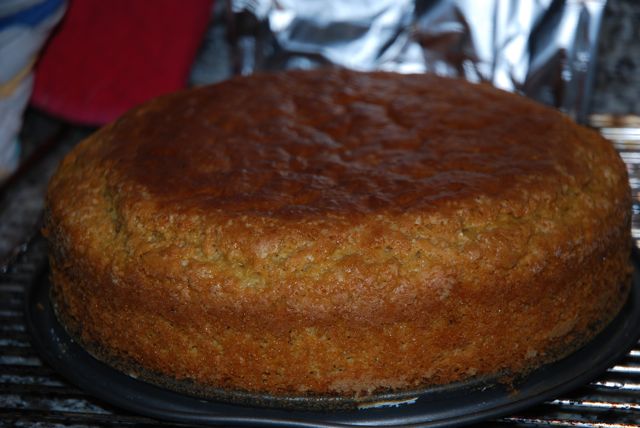 torta-anna-3.jpg